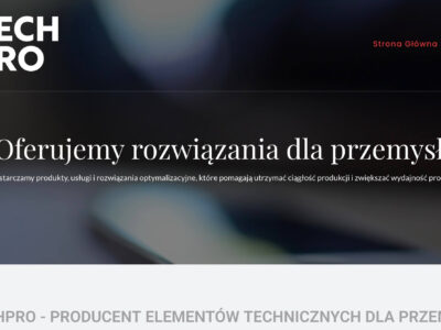 Mechanizm odbojnikowy a dociskowy w kontenerze