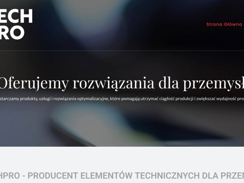 Mechanizm odbojnikowy a dociskowy w kontenerze